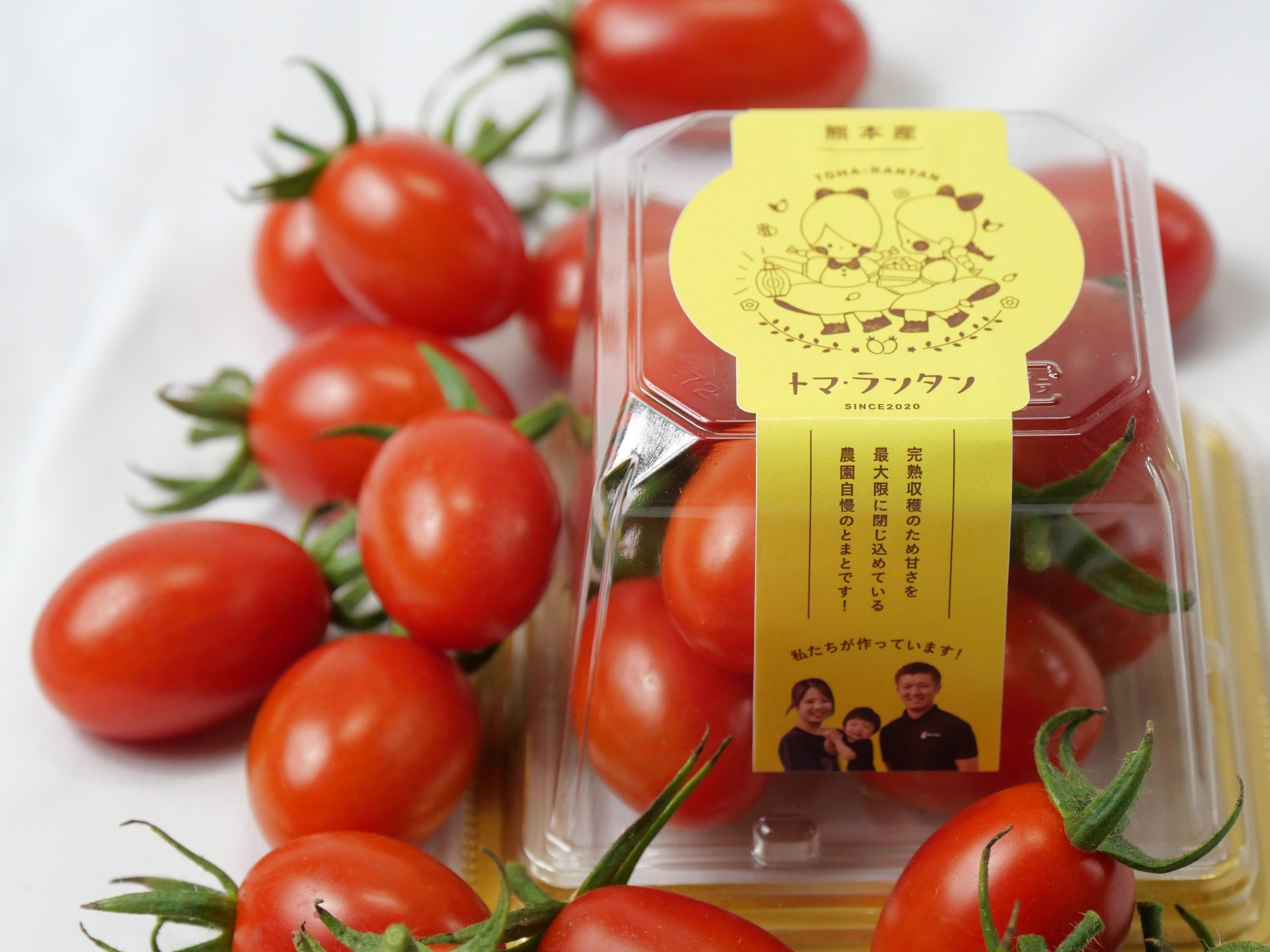 VegeRiseの商品